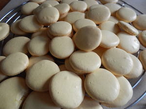 macaron
